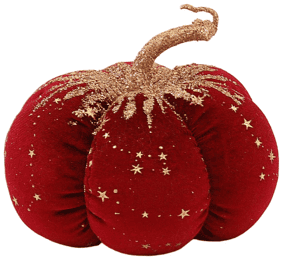 Abóbora veludo verm 18-16cm