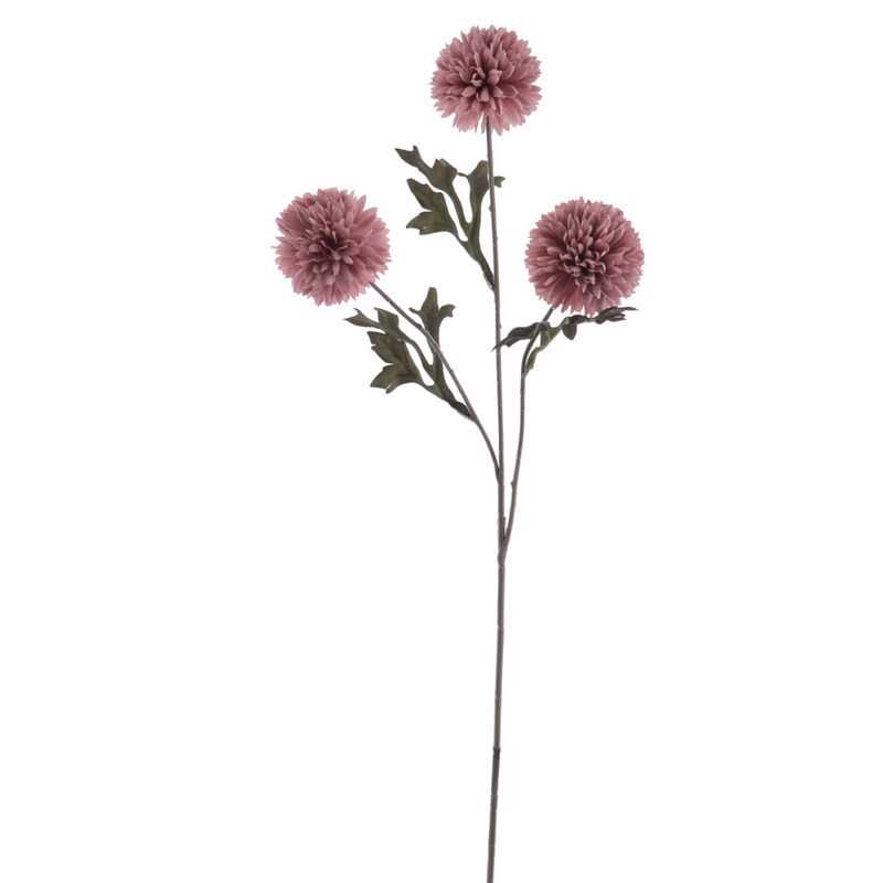 Pom pom malva