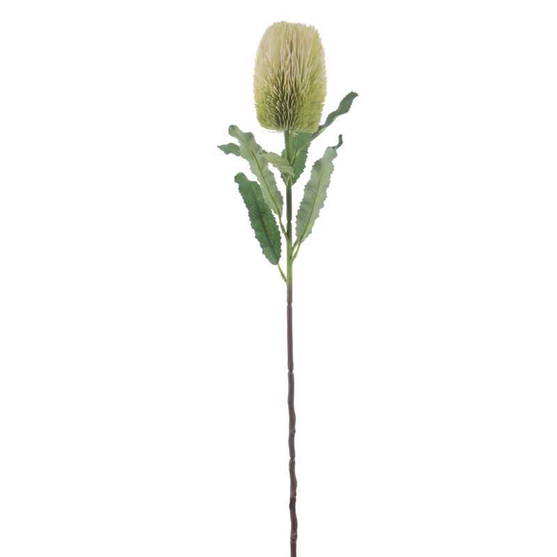 Flor Banksia creme