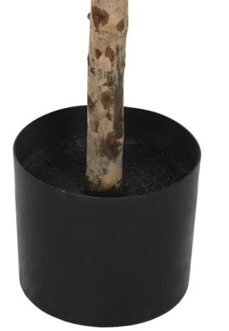 Árvore oliveira verde D60*120H