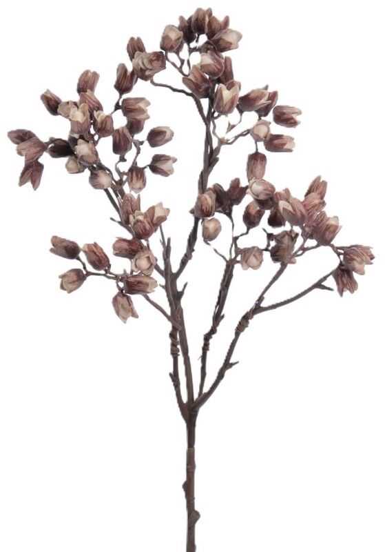 Ramo Pistacia vera 62cm bege