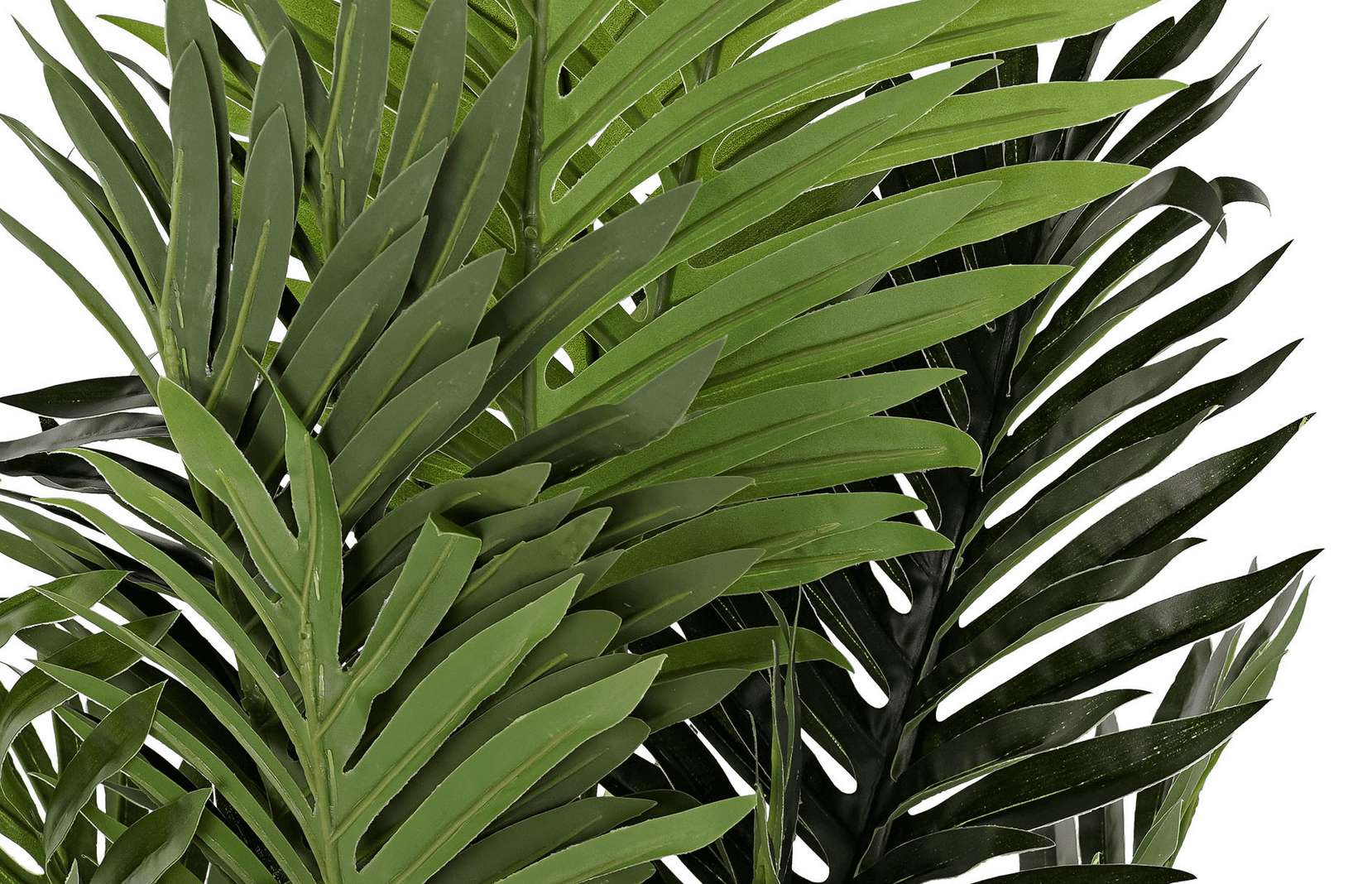 Palmeira verde 40*100 alt em vaso