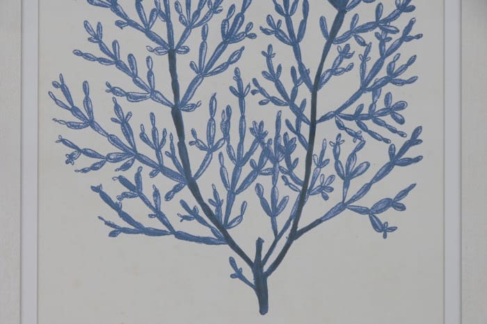 Quadro vidro/abeto 40*3,5*50H corais