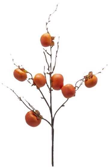 Ramo 7 caquis H95cm laranja