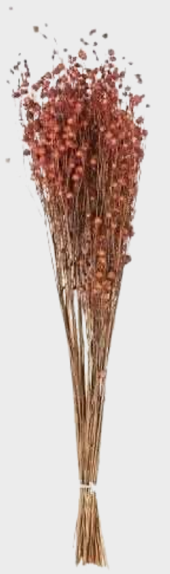 Molho Linho rosa H50-60cm desidratado