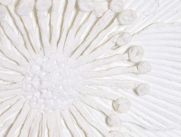 Deco parede D50*4cm flor p maché branca
