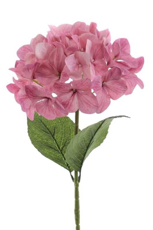 Hortênsia cor malva