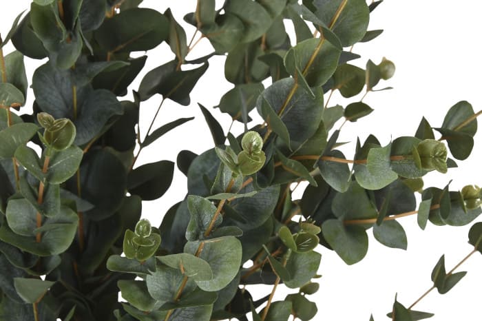 Árvore eucalipto verde D50*155H