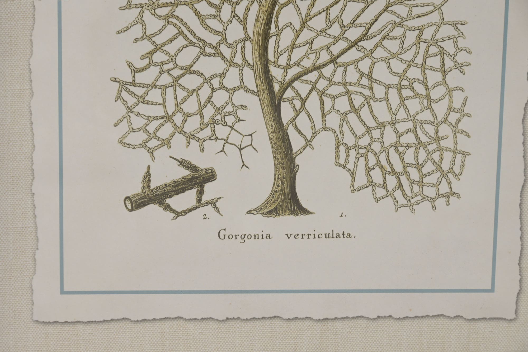 Quadro vidro/abeto 35*2,5*45H corais