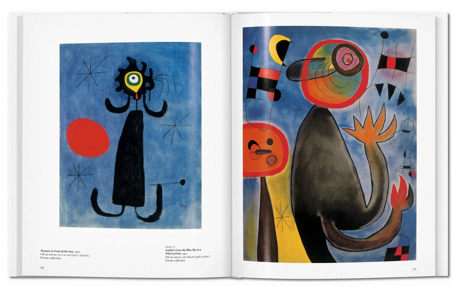 Livro MIRÓ