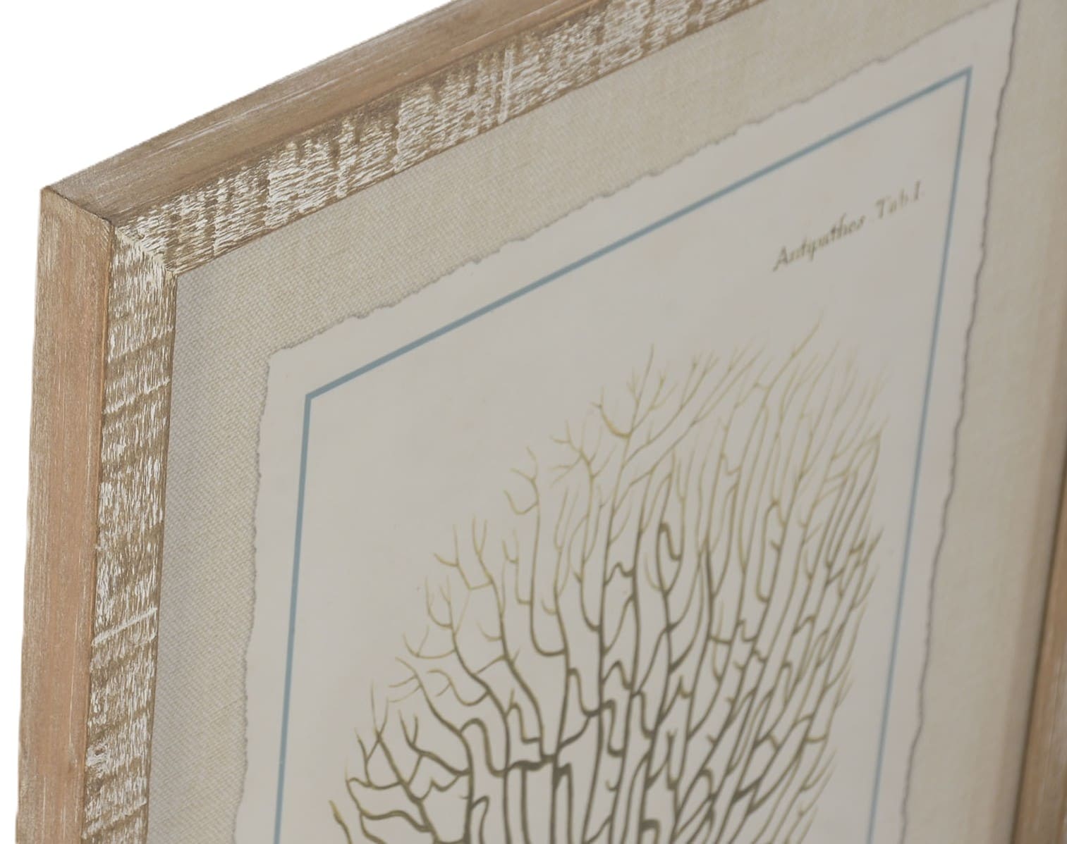 Quadro vidro/abeto 35*2,5*45H corais