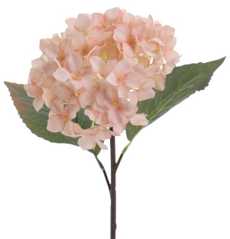 Hortênsia bege 62cm