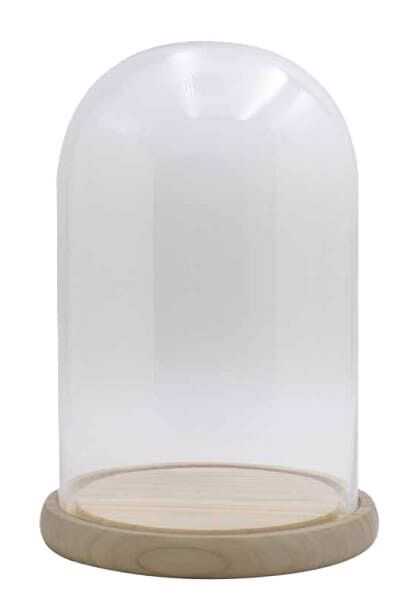 Cloche vidro D28*47,5H base madeira