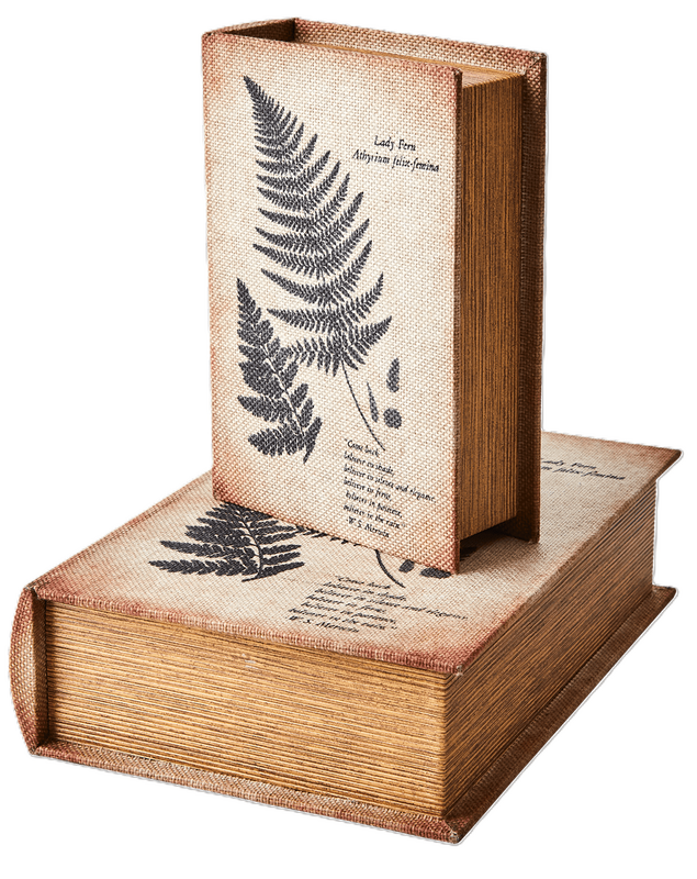 Caixa livro 20*14*5cm estamp folhas