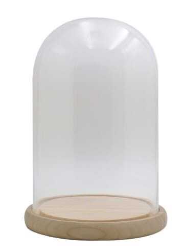 Cloche vidro D22,5*32,5H base madeira