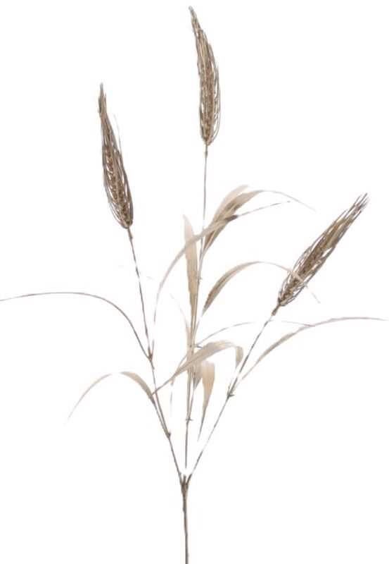 Espigas metalizadas cor champagne