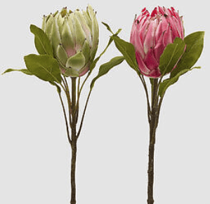 Ramo prótea H60cm c/folhas
