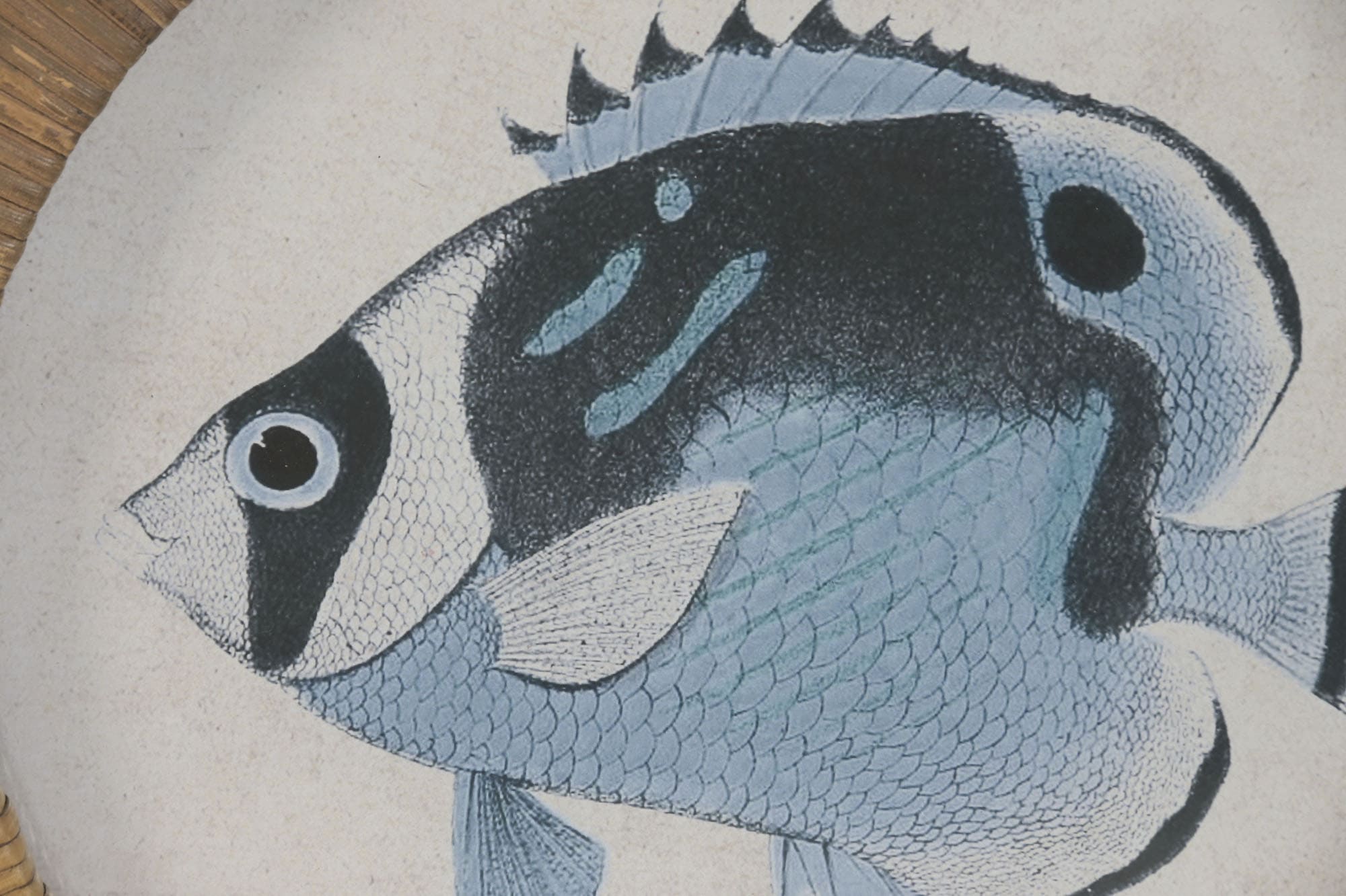 Quadro vidro/rattan D30*2cm peixes