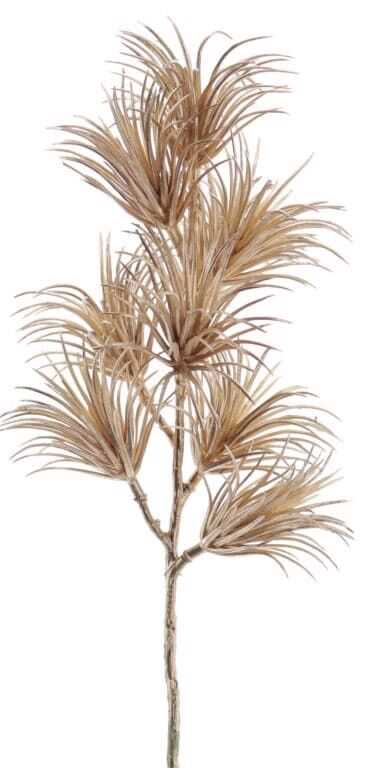 Ramo  Tillandsia 40cm dourada