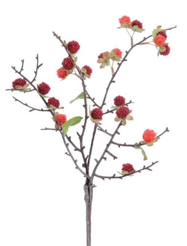 Ramo mini groselhas vermelhas