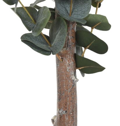 Árvore eucalipto verde D50*155H