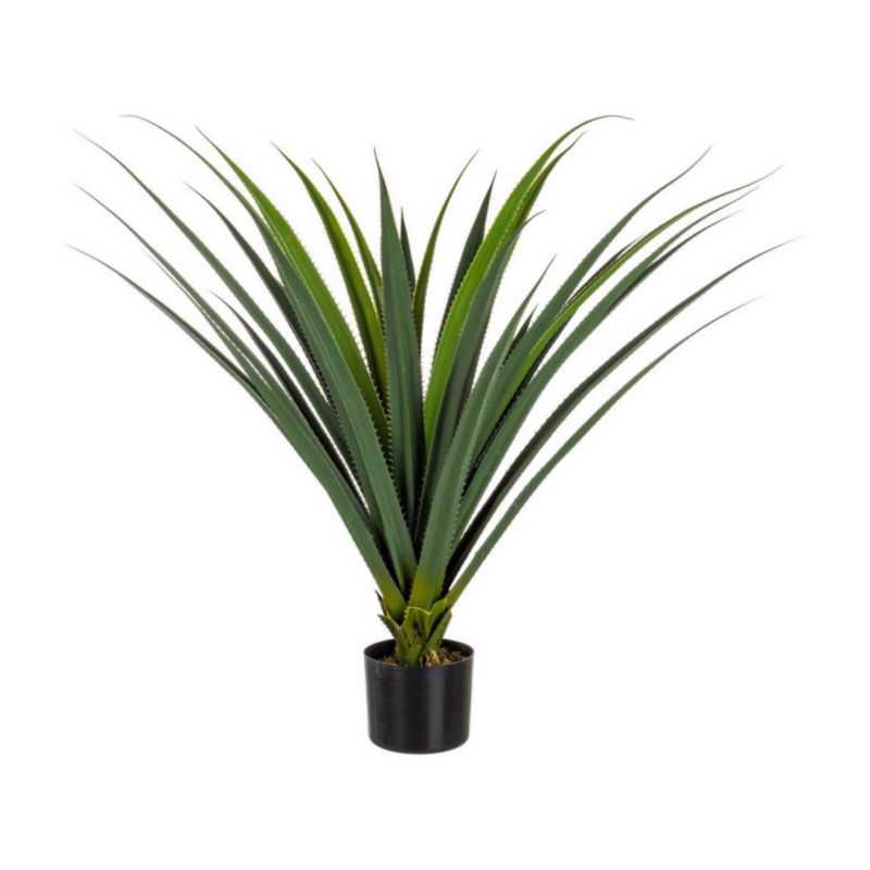 Ruscaceae c/vaso H90cm