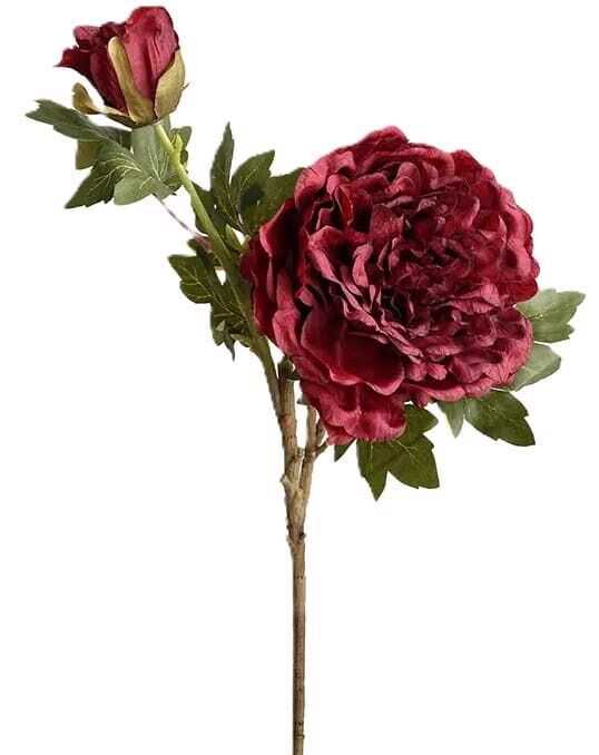 Pé c/2flores peónia 70cm