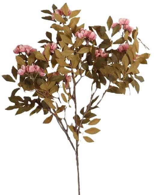 Pé Hibisco outono 110cm