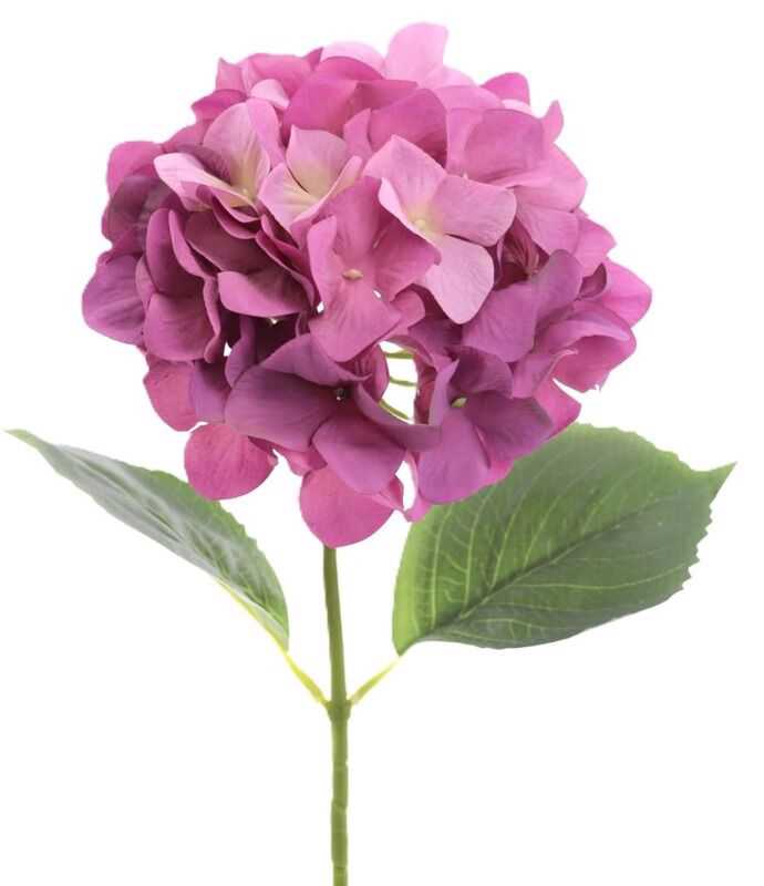 Hortênsia lilás D18*67H