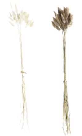 Flor seca 20*20*55 bege ou castanha