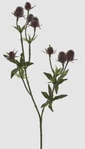 Ramo Eryngium H50cm burgundy