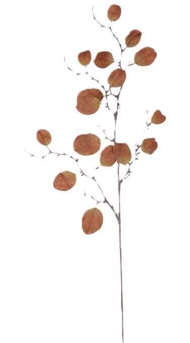 Pé c folhas eucalipto 104cm