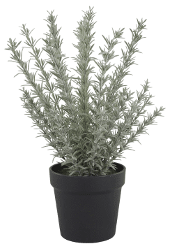 Flor Rosemary D15*H45cm c/vaso foam