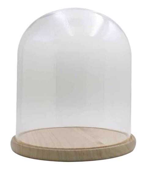 Cloche vidro D32,5*37,5H base madeira