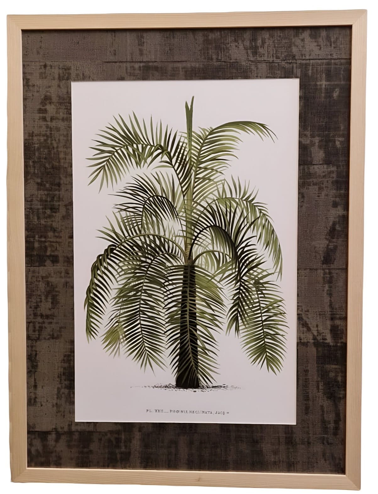 Quadro 60*80 Palmeiras c/PP tronco