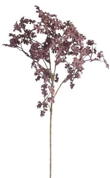 Pé folhas Heuchera 50cm