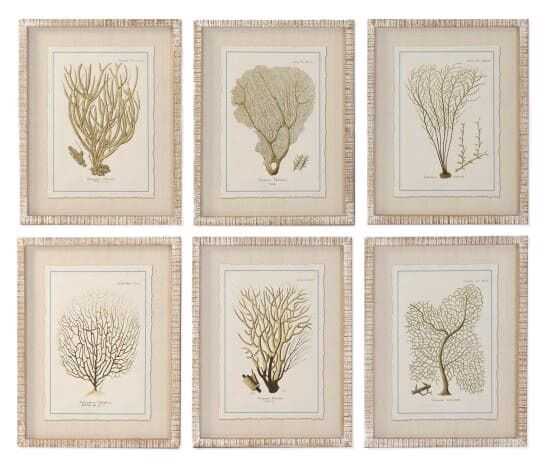 Quadro vidro/abeto 35*2,5*45H corais