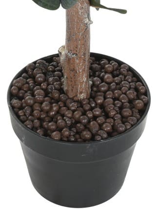 Árvore eucalipto verde D50*155H