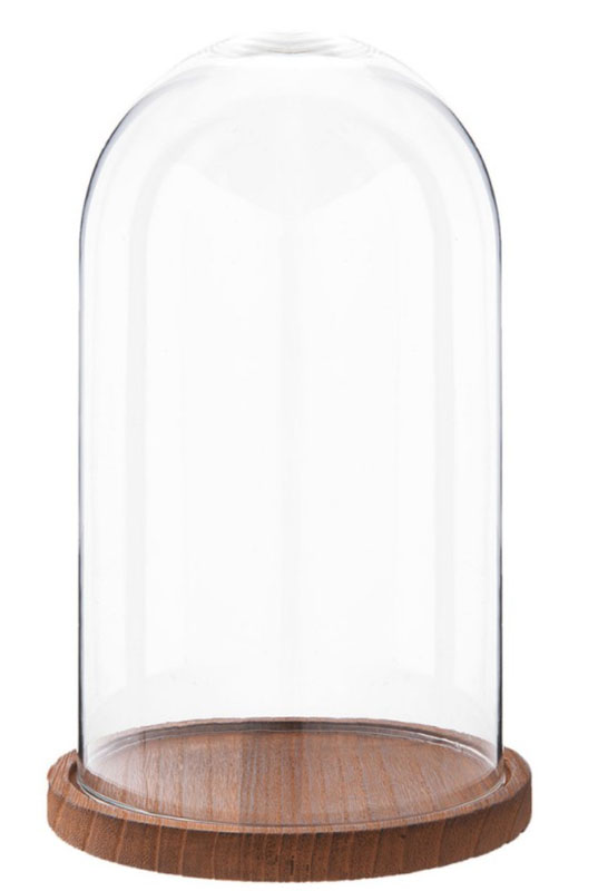 Cloche vidro D18*28cm base madeira